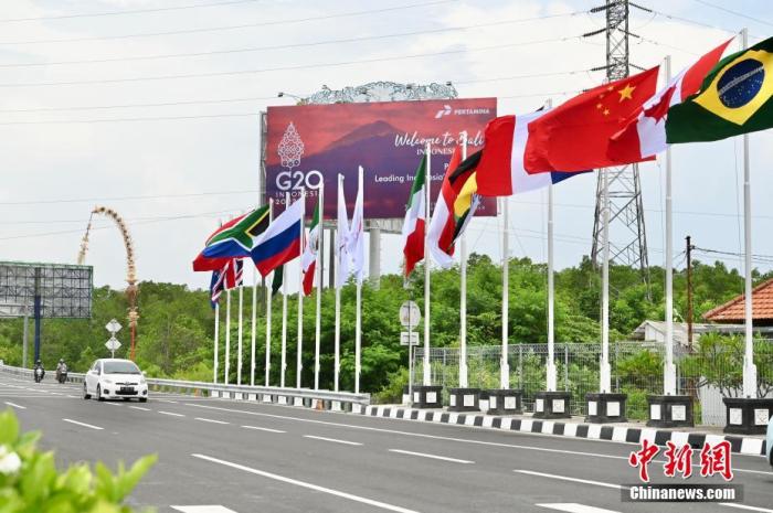 印尼巴厘島道路上G20成員國的國旗及歡迎海報(bào)。 中新社記者 李志華 攝