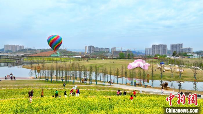 湖北宜昌卷橋河濕地公園內(nèi)，市民相伴享受都市里的田園之樂 周星亮 攝