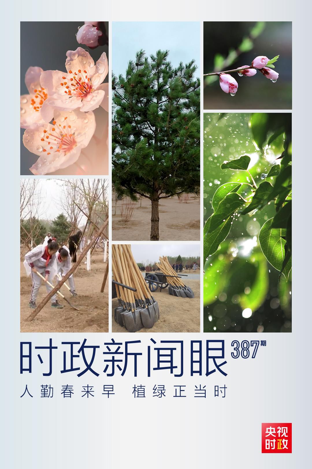 在今年首都義務(wù)植樹現(xiàn)場，習(xí)近平這三句話飽含深意